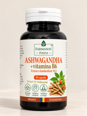 Capsule din Plante Medicinale & Formule Naturale - Ashwagandha + Vitamina B6 - 90 buc/cutie