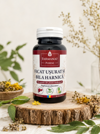 Capsule medicinale naturale pentru susținerea sănătății - Capsule medicinale, ficat usurat si bila harnica, afectiuni hepato-biliare 90 buc