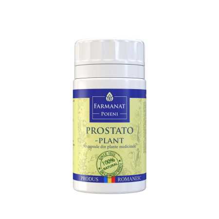 Capsule medicinale naturale pentru susținerea sănătății - Capsule medicinale, prostato - plant, afectiuni ale prostatei