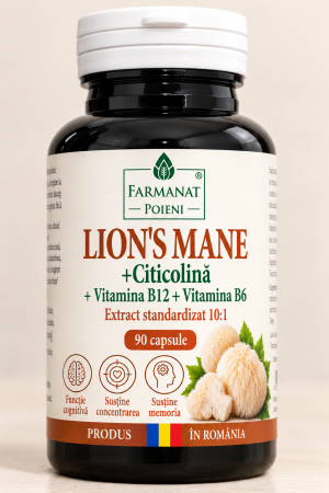 Capsule din Plante Medicinale & Formule Naturale - Lion's Mane + Citicolină + B12 + B6 - 90 buc/cutie