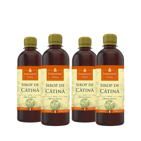 Detoxifiant, antialergic, imunitar - Vitaminizant natural Sirop de Catina 500 ml x 4 bucati