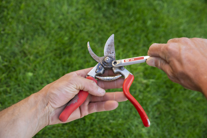 FELCO 905 [8]