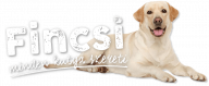 Fincsi Dog