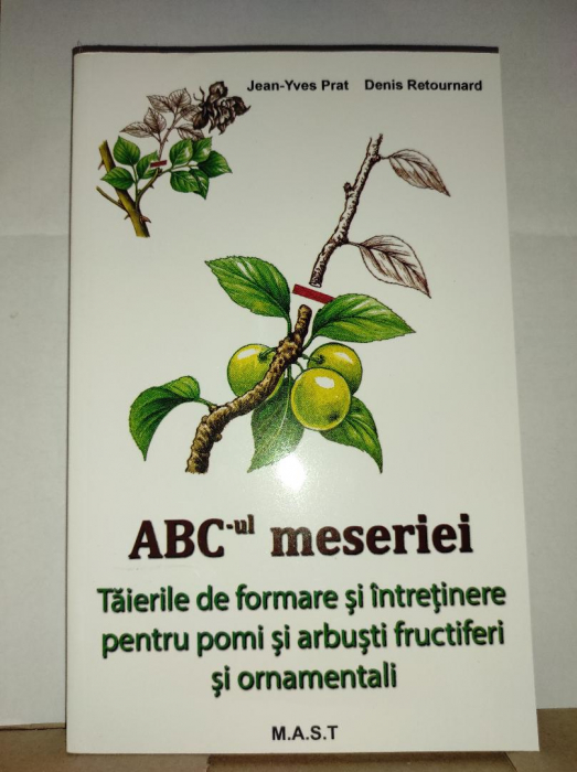 ABC-ul MESERIEI [2]