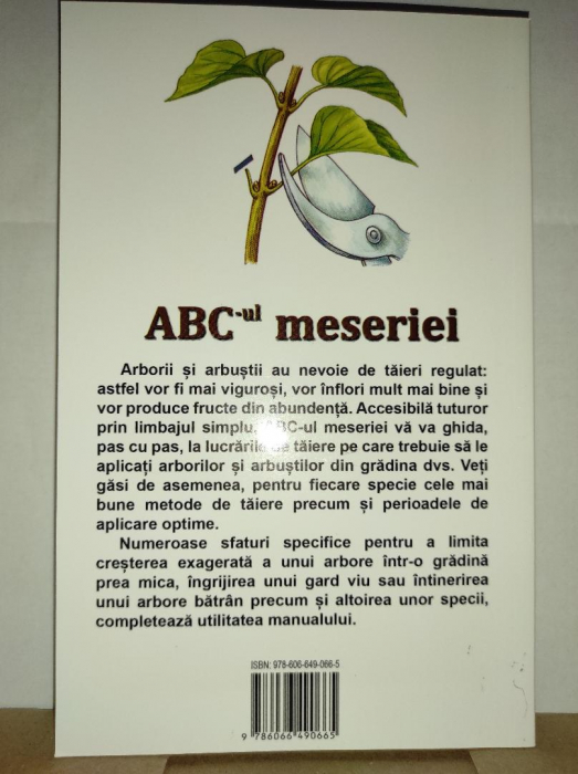 ABC-ul MESERIEI [3]