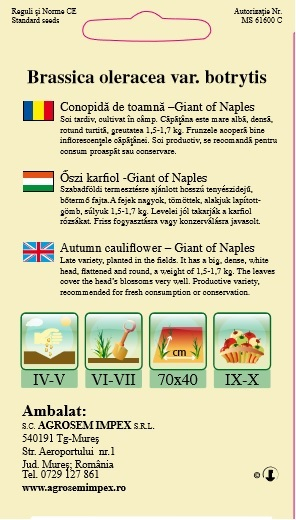 Conopida toamna Giant of Naples 1gr [2]