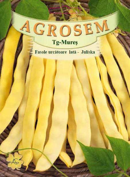 Fasole urcatoare galbena lata Juliska 25gr [2]