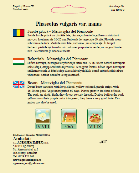 Fasole pitica lata Meraviglia del Piemonte 40g [2]