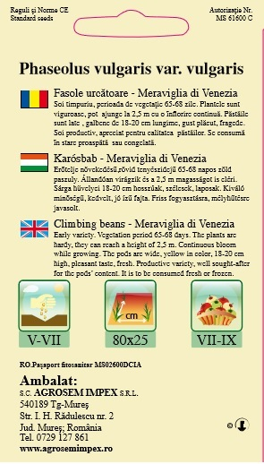 Fasole urcatoare lata Meraviglia di Venezia 10gr [2]