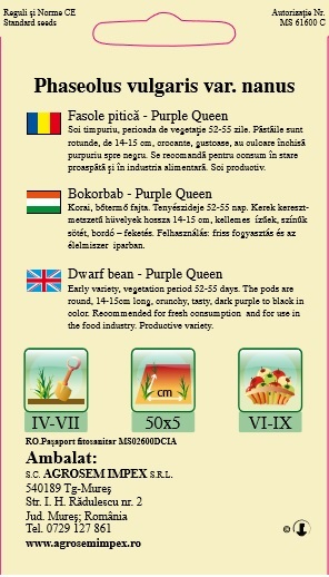 Fasole pitica Violet Purple Queen 10gr [2]