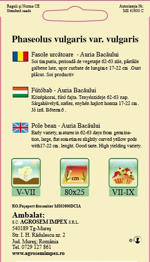Fasole urcatoare galbena Auria Bacaului [2]