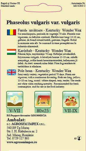 Fasole urcatoare Kentucky wonder wax 10gr [2]