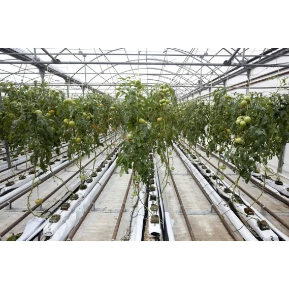 Folie mulcire alb-negru neperforata Politiv PolyDuo E1133, 30 microni, 1.2m x 500m [2]