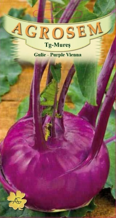 Gulii Vienna Purple 3g [1]