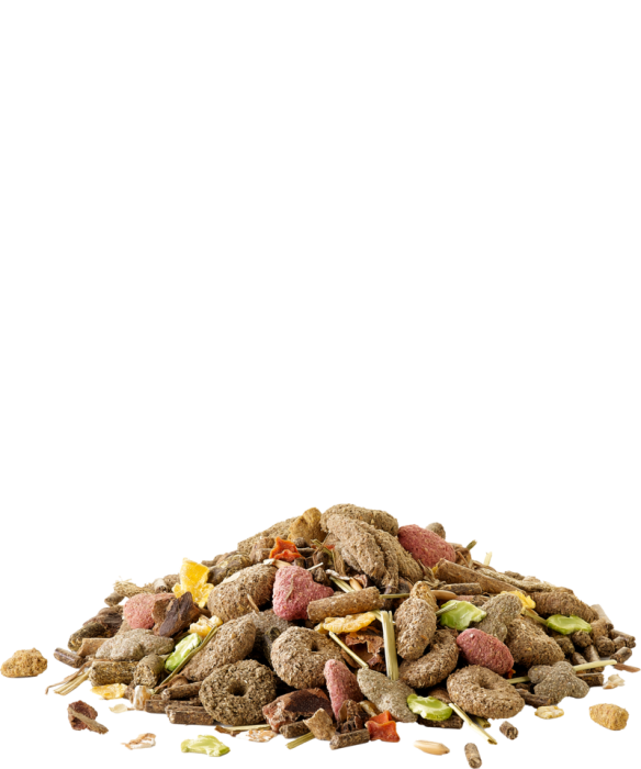 Hrana iepuri pitici Crispy Muesli Rabbits 850gr [2]