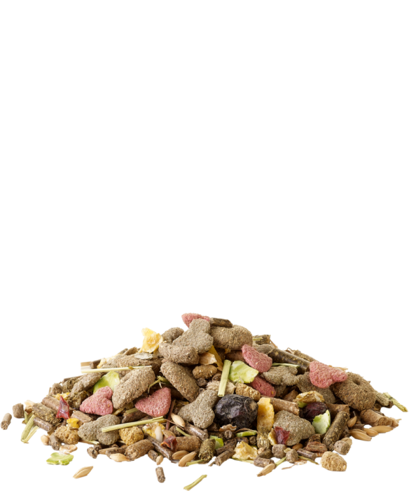 Hrana porcușori de guinea Crispy Muesli Guinea Pigs 850gr [2]