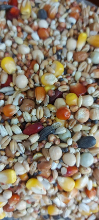 Hrana porumbei Classic Allround Basic+  20 kg [2]