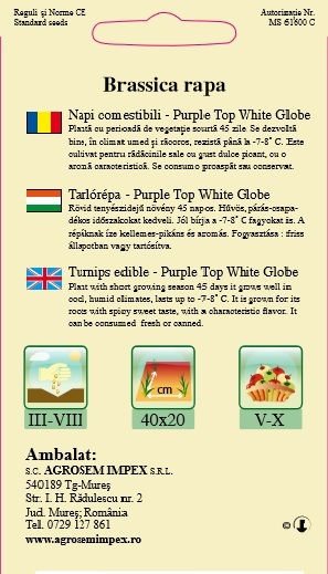Napi comestibili Purple Top White Globe 3gr [2]