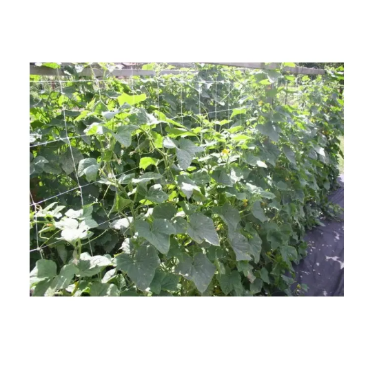 Plasa suport plante Horti-Plant alba, 15x15 cm 1.5 x 10m [3]