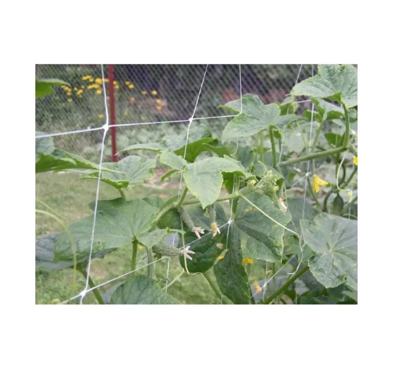 Plasa suport plante Horti-Plant alba, 15x15 cm 1.5 x 25m [2]