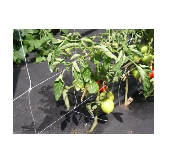 Plasa suport plante Horti-Plant alba, 15x15 cm 1.5 x 25m [4]