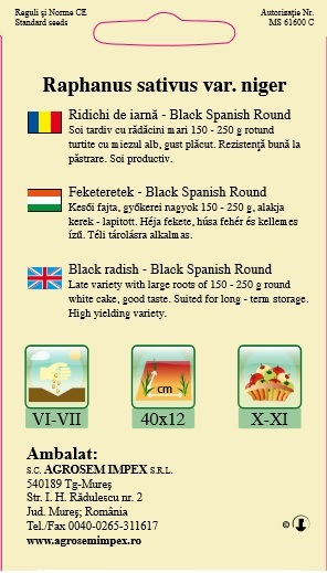 Ridichi de iarna Black Spanish Round 4gr [2]