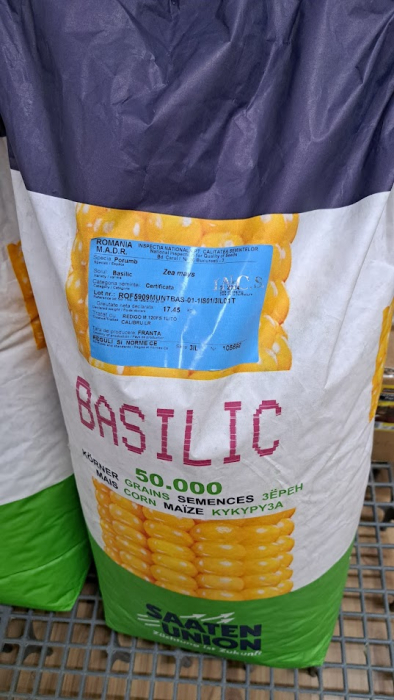 Seminte Porumb hibrid Basilic FAO 340 50000k [5]