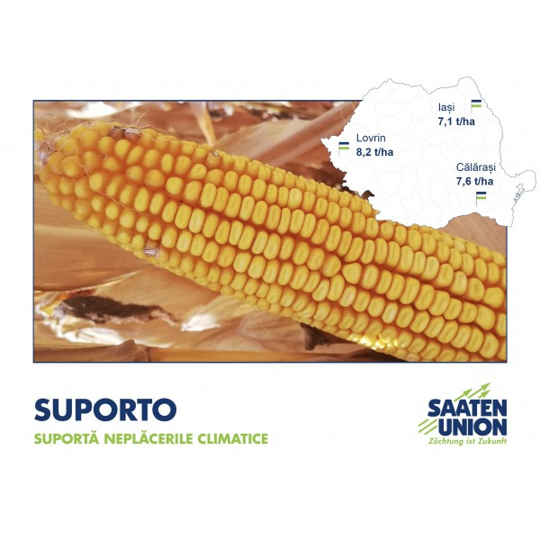 Seminte Porumb hibrid Suporto FAO 290 50000k [3]