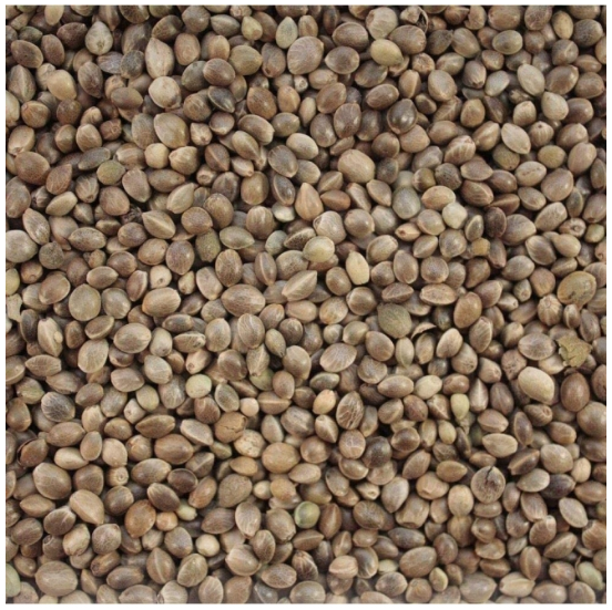Seminţe de canepă 20kg Versele Laga [2]