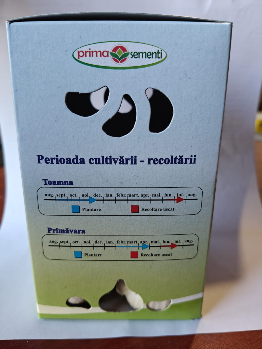 USTUROI BULBI 5 BUC/CUTIE [2]