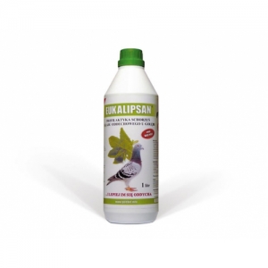 Suplimente și grituri - Eukalipsan fresh 1000ml Patron
