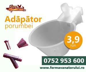 Porumbei - Adăpătoare porumbei
