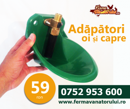 Accesorii - Adăpători pentru oi si capre