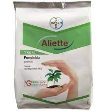 Fungicide - Aliette 80WG 20gr