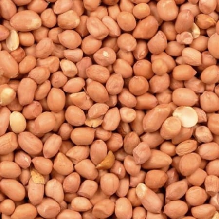 Hrană (furaje) - Alune decojite Ground Nut Kernels 25kg - Versele Laga
