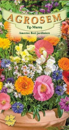 Flori - Amestec flori jardiniere 0.7gr