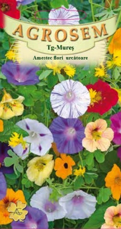 Flori - Amestec flori urcatoare 1gr