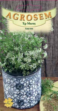Plante Aromatice - Anason 1gr