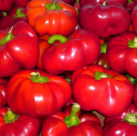 Legume - Ardei gogosar Bucur 0.3gr