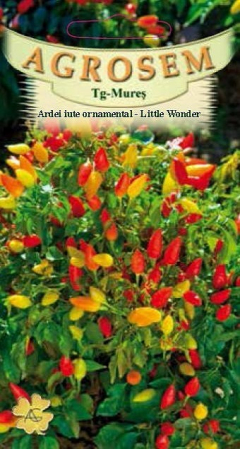 Legume - Ardei iute ornamental Little Wonder 0.2gr