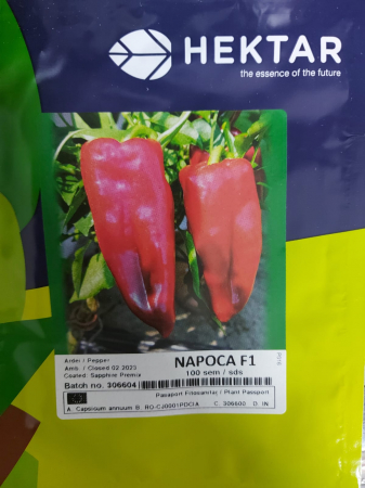 Legume - Ardei lung Napoca F1 100 Seminte
