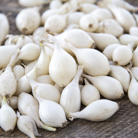 Legume - Arpagic ALB 8/21mm 500gr