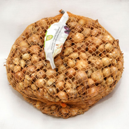Legume - Arpagic Stuttgarten 8/16mm 1kg