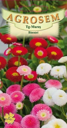 Flori - Banutei Mix 0,1 gr