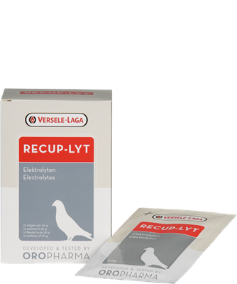 Suplimente și grituri - Electroliti pentru porumbei Recup-Lyt 240gr