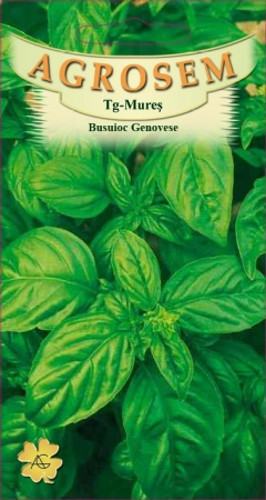 Plante Aromatice - Busuioc Genovese 1.5gr