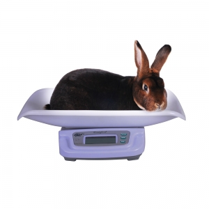 Accesorii - Cântar special pentru iepuri capacitate maximă 20kg