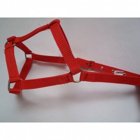 Cai - Capastru echitatie 2.5 cm/ponei