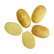 Legume - Cartofi de samanta albi Hind 5kg clasa A 28/35 Olanda
