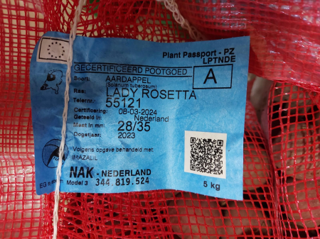Legume - Cartofi de samanta rosii Lady Rosetta 5kg clasa 28/35 Olanda